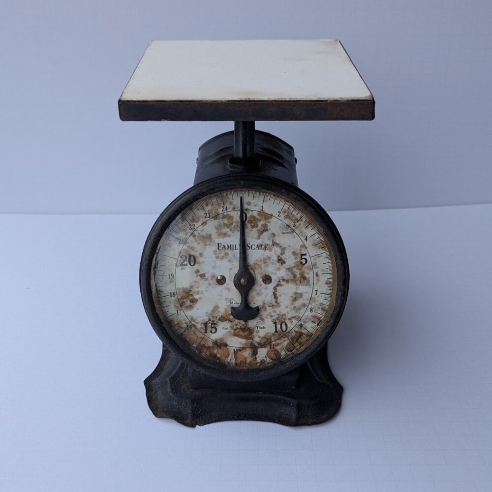 Vintage 25lb Metal Dial Family Scale - Picture 2 of 12